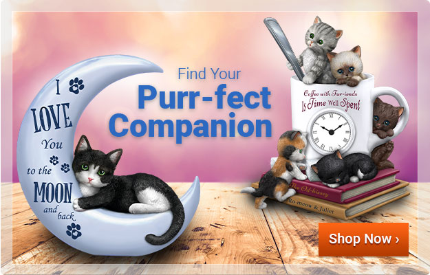Find Your Purr-fect Companion - Shop Now